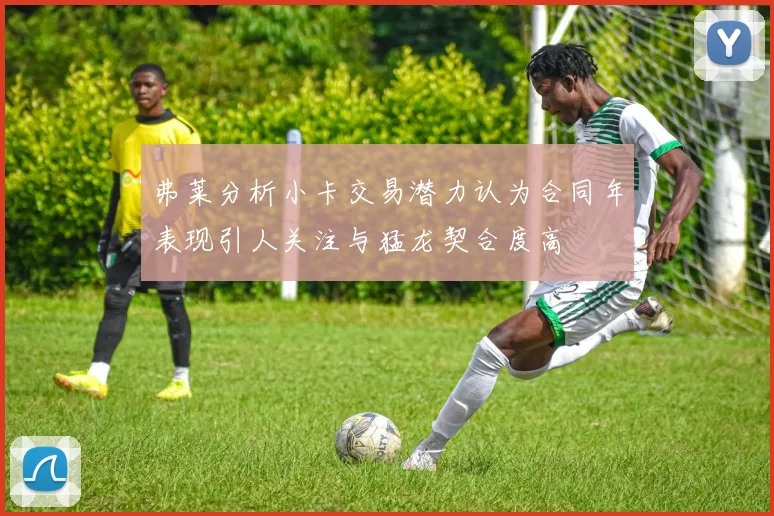 弗莱分析小卡交易潜力认为合同年表现引人关注与猛龙契合度高